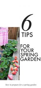 6-tips-for-your-spring-garden