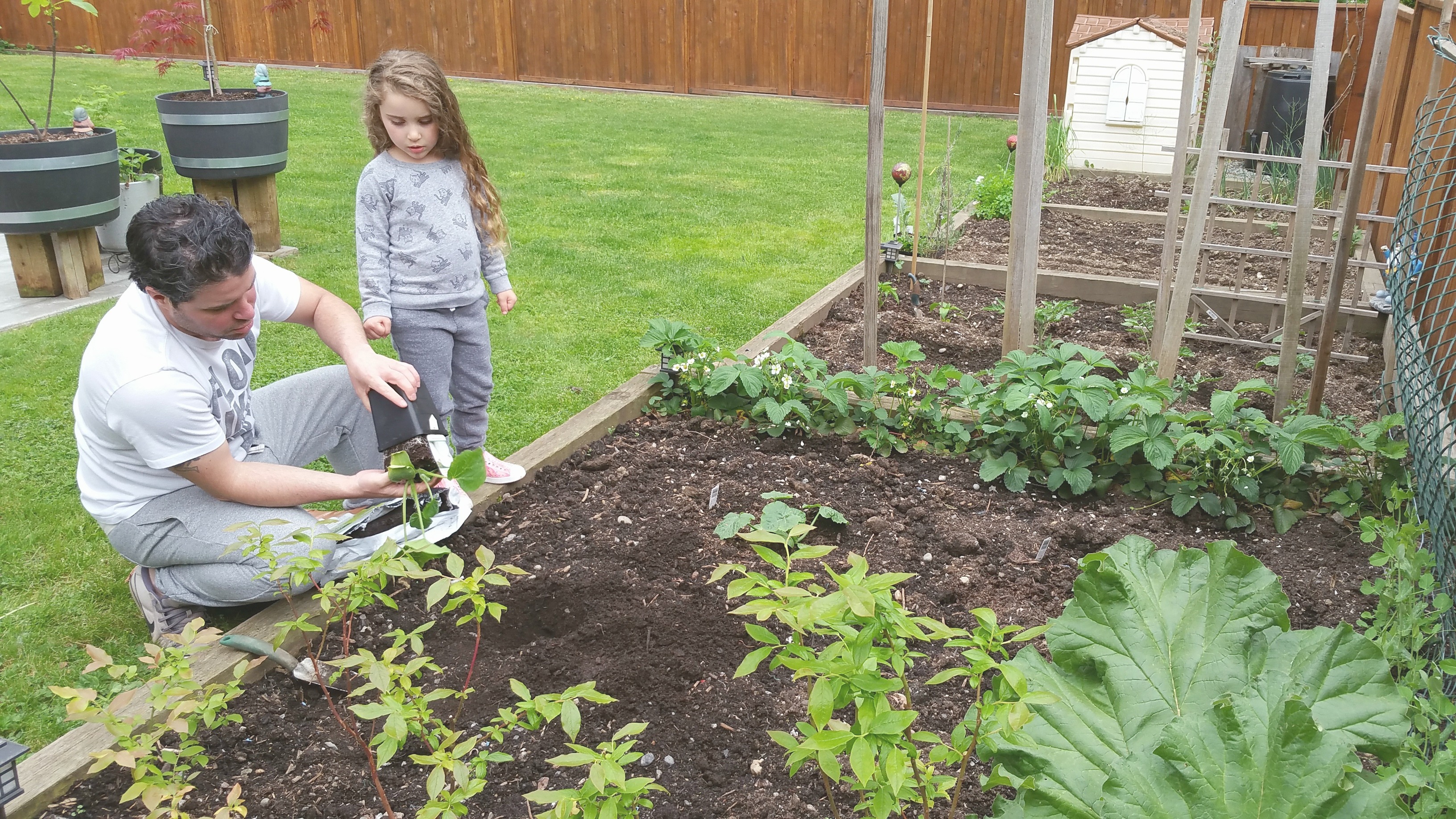 How to prepare a spring garden, including tips from someone who speaks fluent in plant. 