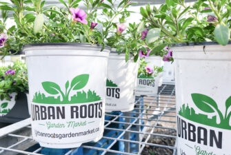 Urban Roots Garden Market